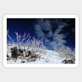 Mt Hotham trees Sticker